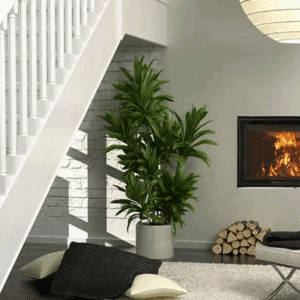 Houtgestookte CV-haard Nordic Fire Premium