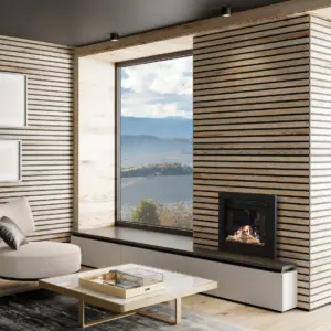 Elektrische haard Element4 Tivoli 55 E